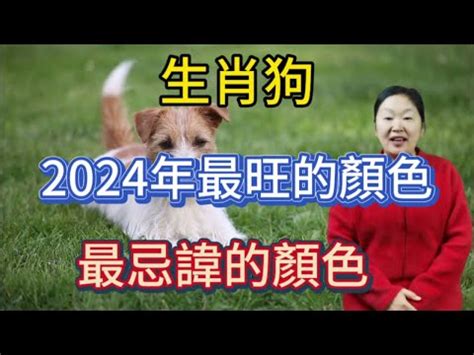 生肖狗幸運色|2024年運勢大揭秘：生肖狗的幸運數字、顏色和貴人。